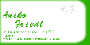 aniko friedl business card